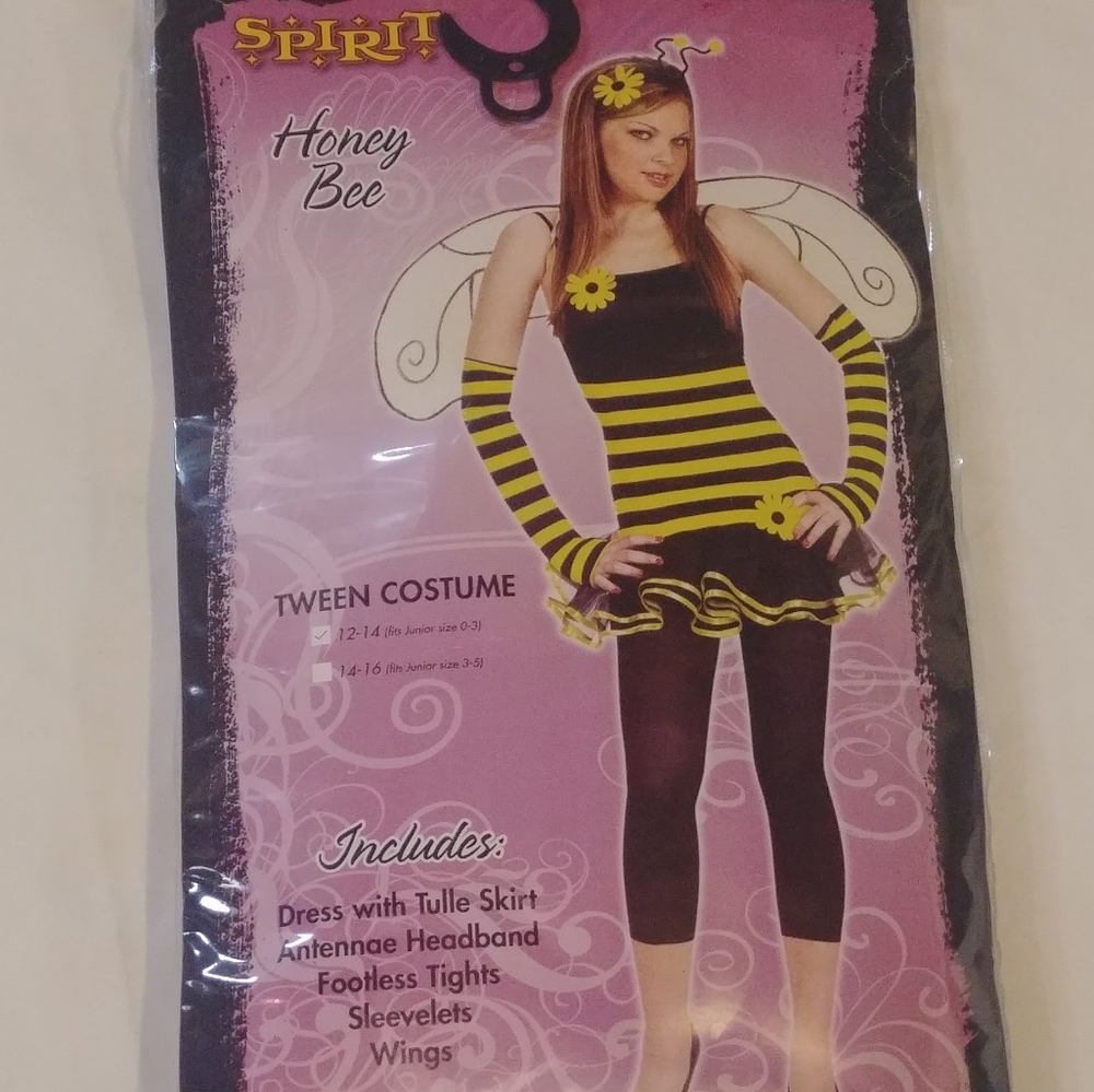 Honey bee costume from Spirit Halloween size 12/14